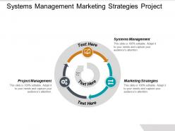 Systems management marketing strategies project management revenue recognition standard cpb