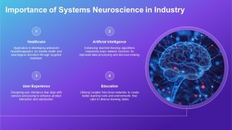 Systems Neuroscience Brain Networks PPT Slides AT Impressive Idea