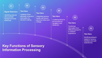 Systems Neuroscience Brain Networks PPT Slides AT Visual Idea