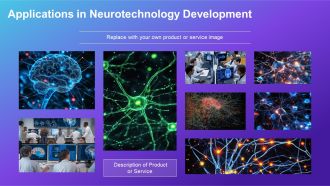 Systems Neuroscience Brain Networks PPT Slides AT Analytical Idea