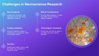 Systems Neuroscience Brain Networks PPT Slides AT Attractive Idea