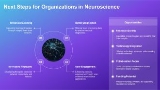 Systems Neuroscience Brain Networks PPT Slides AT Good Ideas