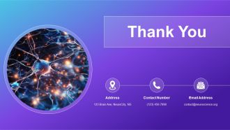 Systems Neuroscience Brain Networks PPT Slides AT Content Ready Ideas