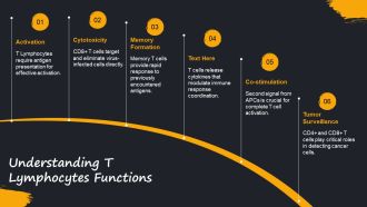 T Lymphocyte And B Lymphocyte Insights PPT PowerPoint AT Ideas Pre-designed