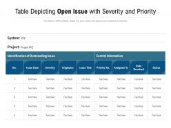Table depicting open issue with severity and priority