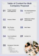 Table Of Content For Btob Company Proposal One Pager Sample Example Document