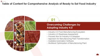 Table Of Content For Comprehensive Analysis Of Ready To Eat Food Industry Plant