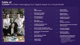 Table Of Content For Dam Managing Your Digital Assets In A Visual World