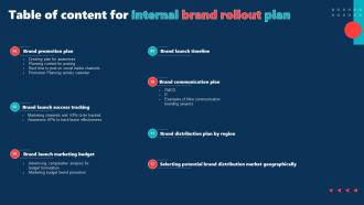 Table Of Content For Internal Brand Rollout Plan Ppt Summary Infographic Template Good Editable