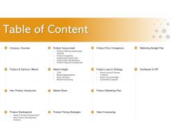 Table of content positioning m2174 ppt powerpoint presentation professional ideas