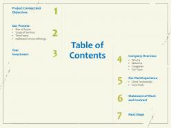 Table of contents additional service offerings ppt powerpoint presentation infographic template