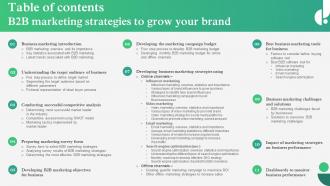 Table Of Contents B2B Marketing Strategies To Grow Your Brand MKT SS V