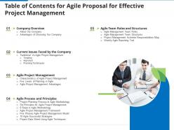 Table of contents for agile proposal for effective project management