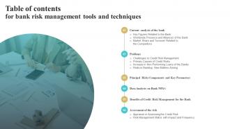Table Of Contents For Bank Risk Management Tools And Techniques Ppt Show Example Introduction