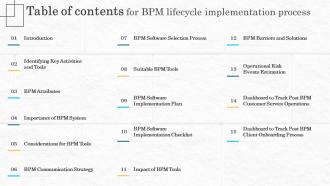 Table Of Contents For Bpm Lifecycle Implementation Bpm Lifecycle Implementation Process