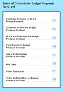 Table Of Contents For Budget Proposal For Grant One Pager Sample Example Document