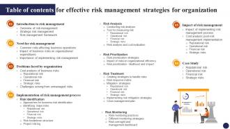 Table Of Contents For Effective Risk Management Strategies For Organization Risk SS
