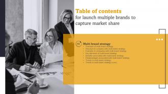 Table Of Contents For Launch Multiple Brands To Capture Market Share Ppt Slides Model