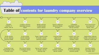 Table Of Contents For Laundry Company Overview