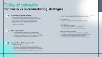 Table Of Contents For Macro VS Micromarketing Strategies MKT SS V