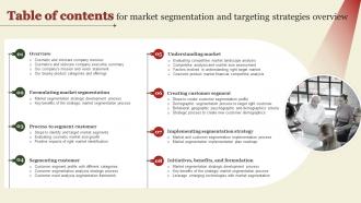 Table Of Contents For Market Segmentation And Targeting Strategies Overview MKT SS V