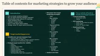 Table Of Contents For Marketing Strategies To Grow Your Audience