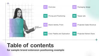 Table Of Contents For Sample Brand Extension Positioning Example