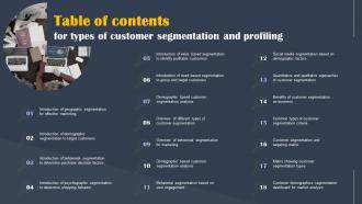Table Of Contents For Types Of Types Of Customer Segmentation