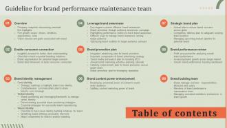 Table Of Contents Guideline For Brand Performance Maintenance Team