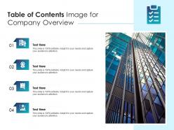 Table of contents image for company overview infographic template