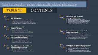 Table Of Contents Implementing Sales Risk Mitigation Planning Ppt Styles Example
