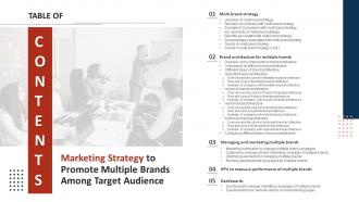 Table Of Contents Marketing Strategy To Promote Multiple Brands Among Target Audience