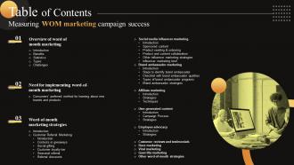 Table Of Contents Measuring WOM Marketing Campaign Success MKT SS V