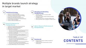 Table Of Contents Multiple Brands Launch Strategy In Target Market