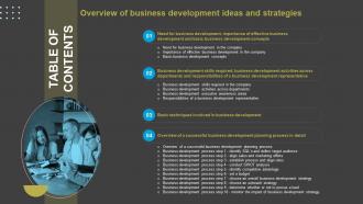 Table Of Contents Overview Of Business Development Ideas And Strategies