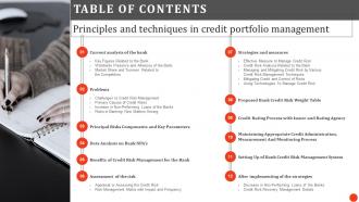 Table Of Contents Principles And Techniques In Credit Portfolio Management