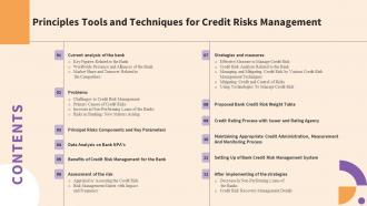 Table Of Contents Principles Tools And Techniques For Credit Risks Management