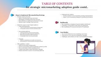 Table Of Contents Strategic Micromarketing Adoption Guide MKT SS V Appealing Downloadable