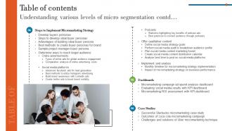 Table Of Contents Understanding Various Levels Of Micro Segmentation MKT SS V Content Ready Appealing