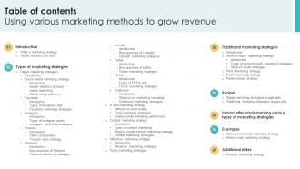 Table Of Contents Using Various Marketing Methods To Grow Revenue Strategy SS V