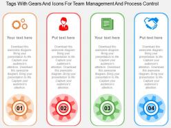 Tags with gears and icons for team management and process control flat powerpoint design