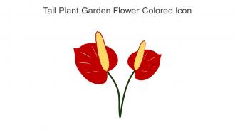 Tail Plant Garden Flower Colored Icon In Powerpoint Pptx Png And Editable Eps Format
