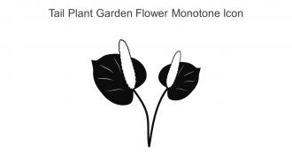 Tail Plant Garden Flower Monotone Icon In Powerpoint Pptx Png And Editable Eps Format