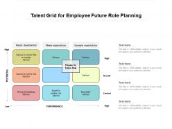 Talent grid for employee future role planning