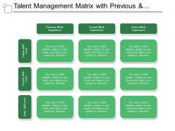 Talent management matrix with previous and current work experience