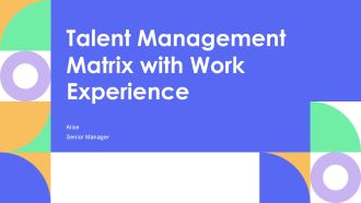Talent Management Matrix With Work Experience PPT Information AT