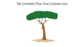 Tall Umbrella Pine Tree Colored Icon In Powerpoint Pptx Png And Editable Eps Format