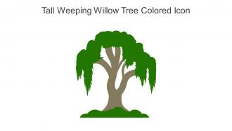 Tall Weeping Willow Tree Colored Icon In Powerpoint Pptx Png And Editable Eps Format