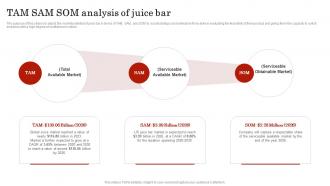 TAM SAM SOM Analysis Of Juice Bar Smoothie Bar Business Plan BP SS