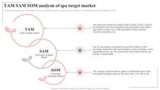Tam Sam Som Analysis Of Spa Target Market Spa Salon Business Plan BP SS